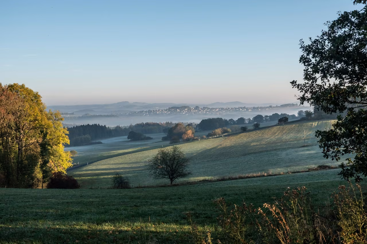 Hügellandschaft mit einzelnem Baum