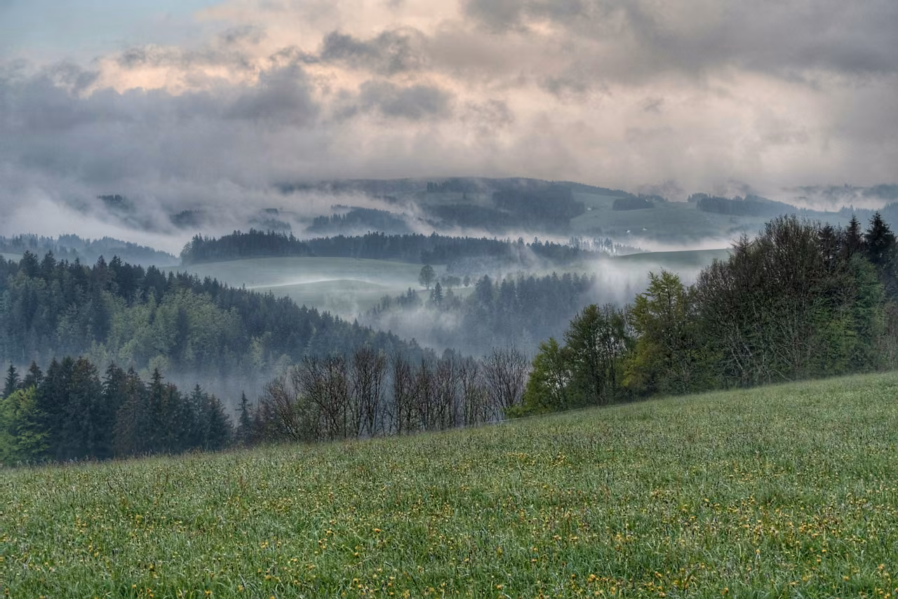 Hügel im Morgennebel